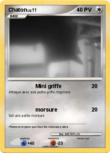 Pokemon Chaton