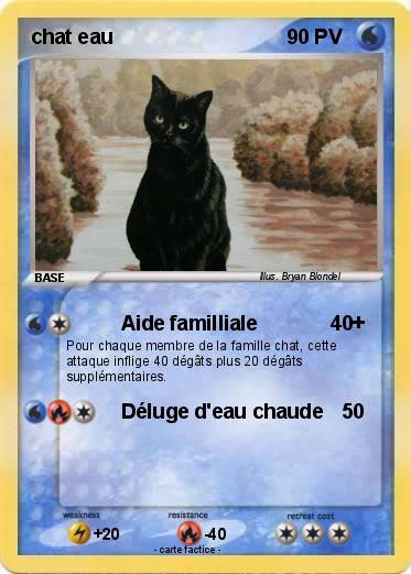 Pokemon chat eau