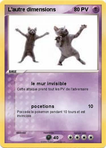 Pokemon L'autre dimensions 