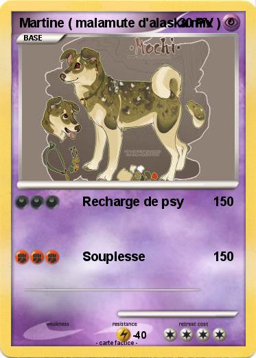 Pokemon Martine ( malamute d'alaska mix )