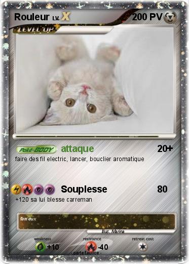 Pokemon Rouleur