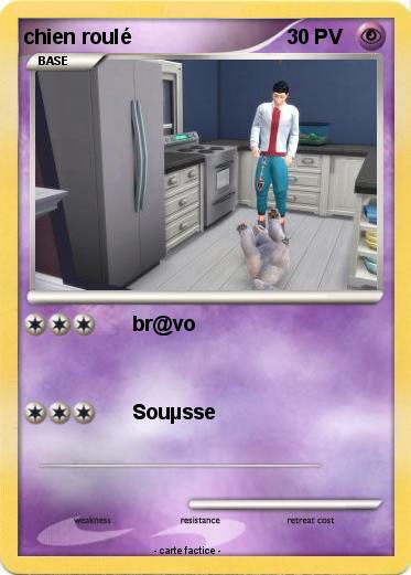 Pokemon chien roulé