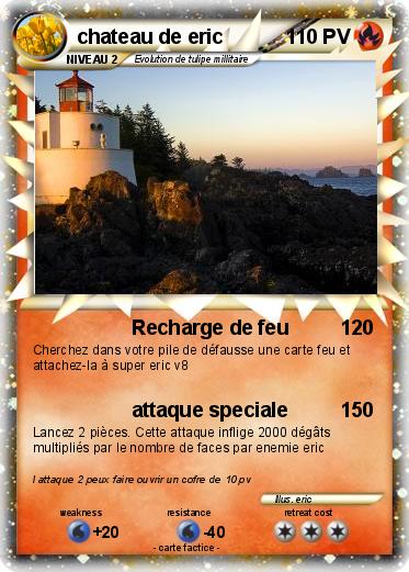 Pokemon chateau de eric