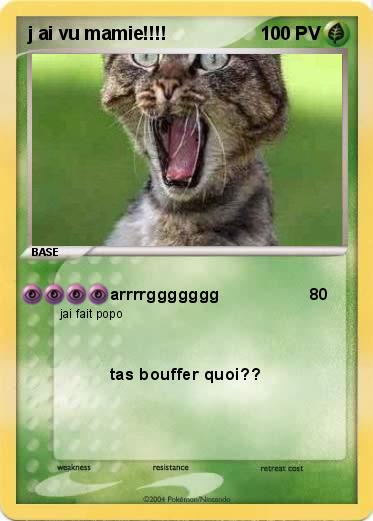 Pokemon j ai vu mamie!!!!