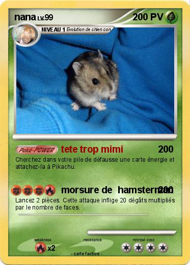 Pokemon nana