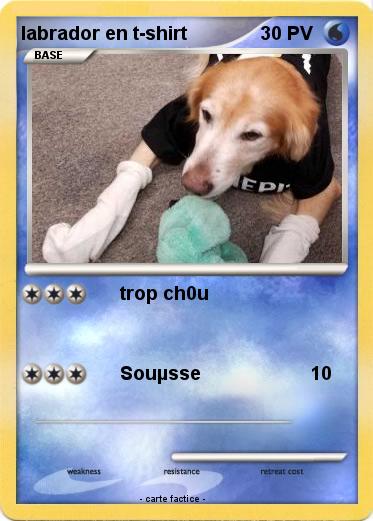 Pokemon labrador en t-shirt
