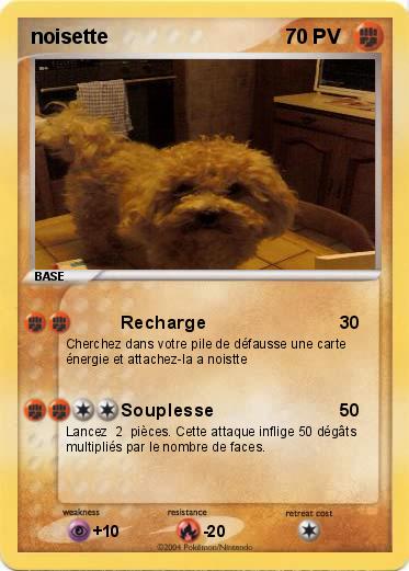 Pokemon noisette