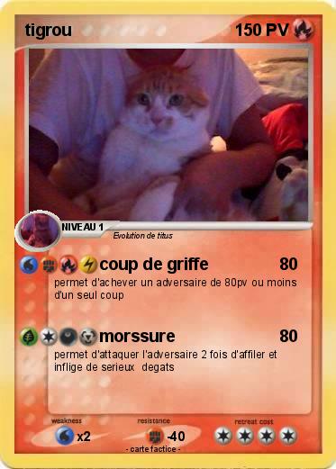 Pokemon tigrou