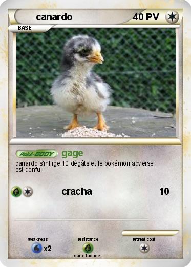 Pokemon canardo
