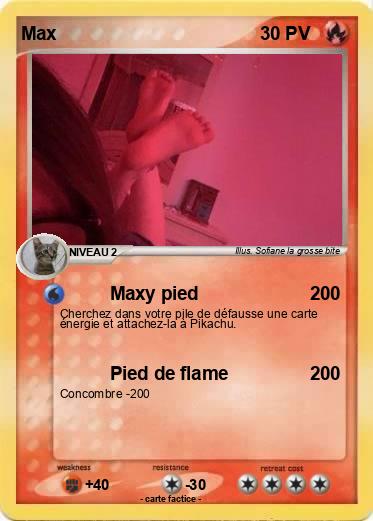 Pokemon Max