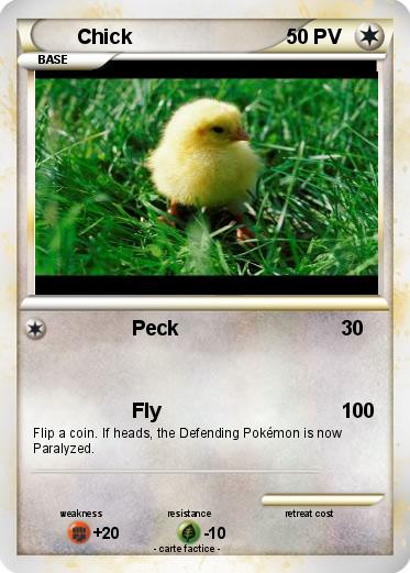 Pokemon Chick