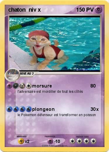 Pokemon chaton  niv x