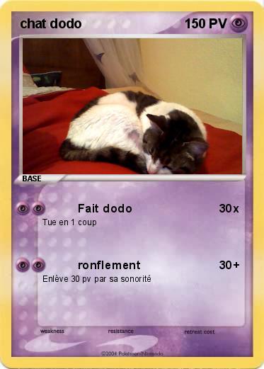 Pokemon chat dodo