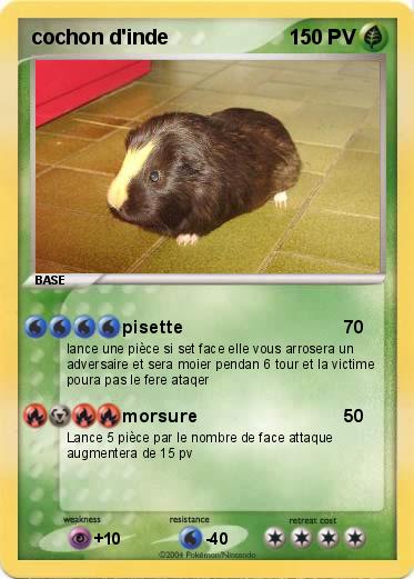 Pokemon cochon d'inde