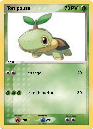 Pokemon Tortipouss