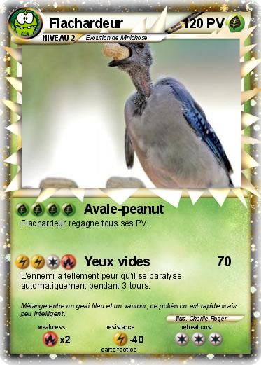 Pokemon Flachardeur