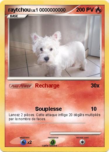Pokemon raytchou