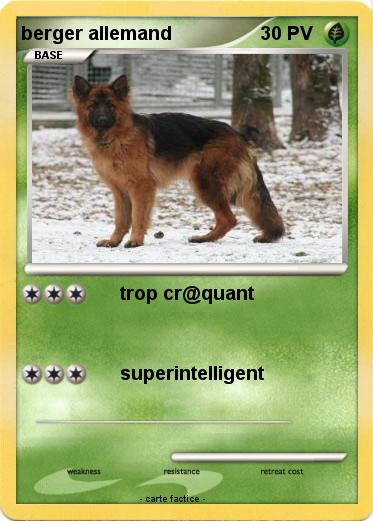 Pokemon berger allemand