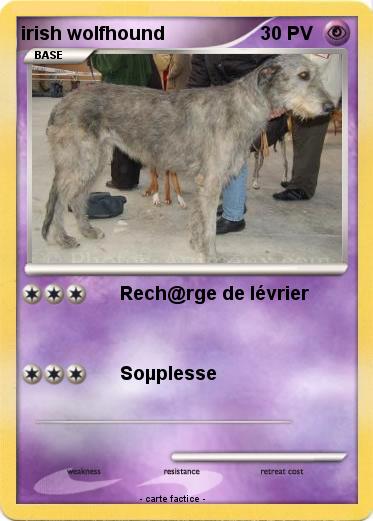 Pokemon irish wolfhound