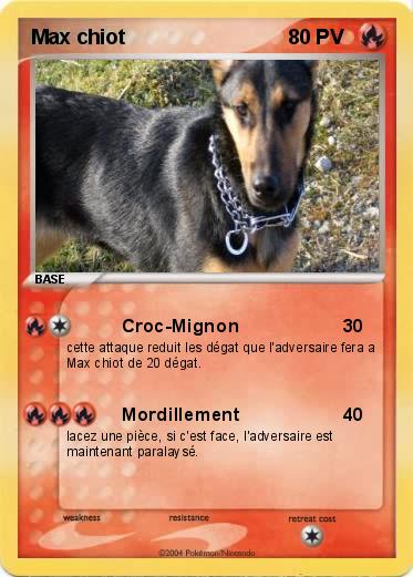Pokemon Max chiot