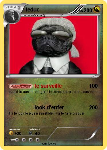 Pokemon leduc