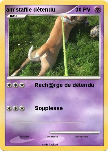 Pokemon am'staffie détendu