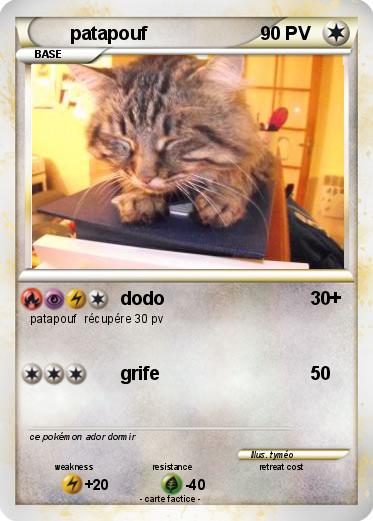 Pokemon patapouf