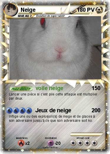 Pokemon Neige