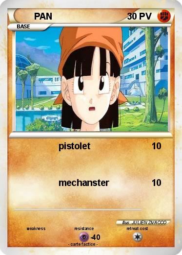 Pokemon PAN