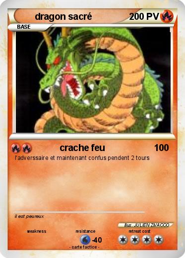 Pokemon dragon sacré