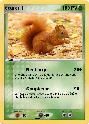 Pokemon écureuil