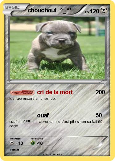 Pokemon chouchout  ^_^'