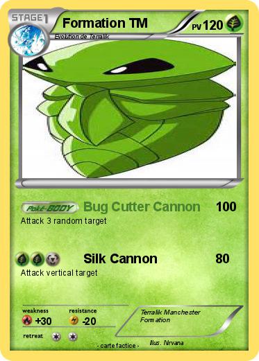 Pokemon Formation TM