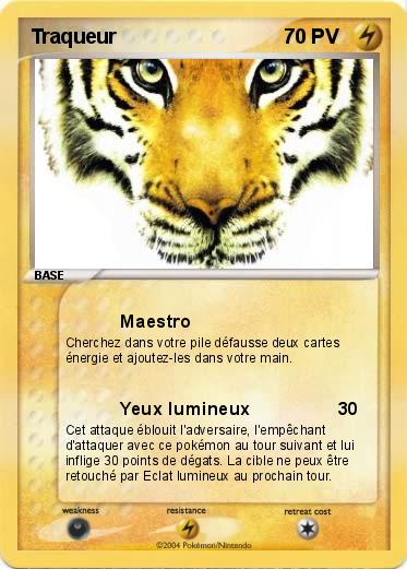 Pokemon Traqueur