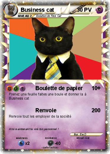 Pokemon Business cat