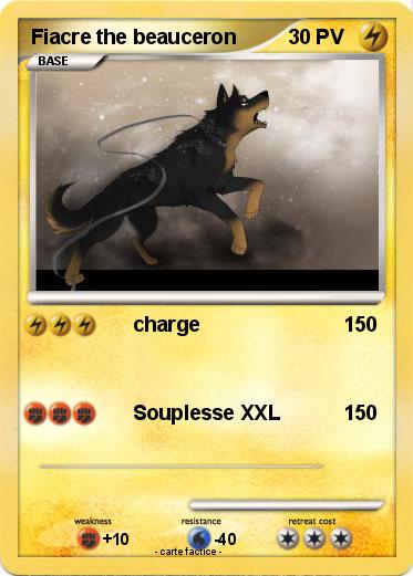 Pokemon Fiacre the beauceron