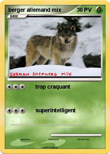 Pokemon berger allemand mix