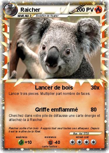 Pokemon Raicher