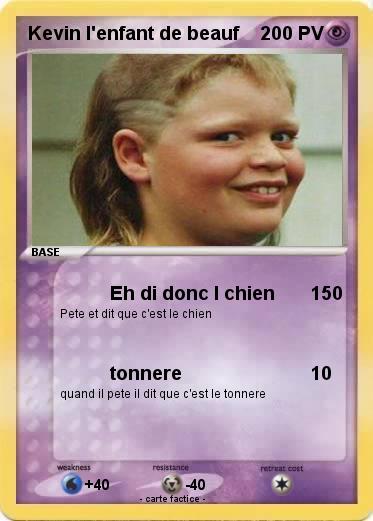 Pokemon Kevin l'enfant de beauf