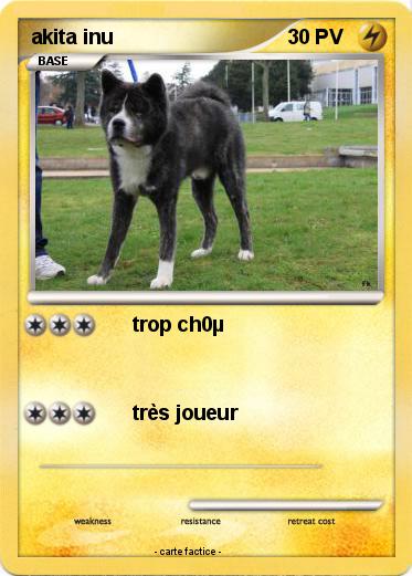 Pokemon akita inu