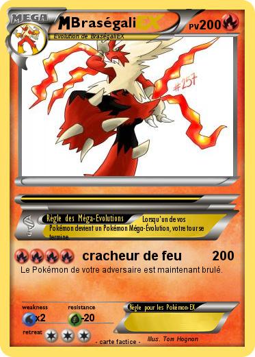 Pokemon Braségali