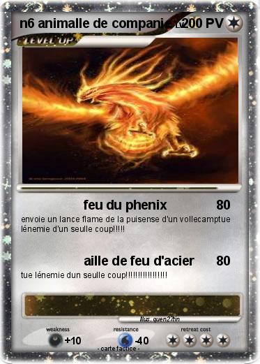 Pokemon n6 animalle de companie