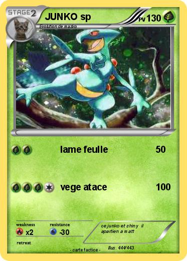 Pokemon JUNKO sp