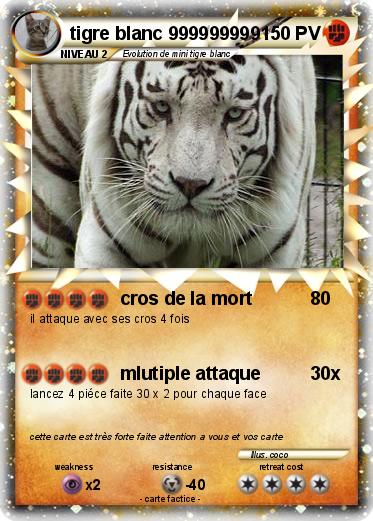 Pokemon tigre blanc 999999999