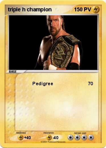Pokemon triple h champion