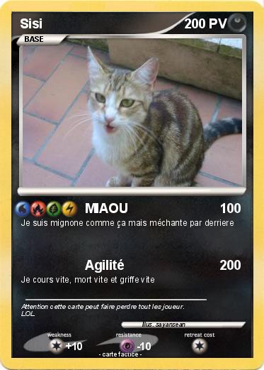 Pokemon Sisi