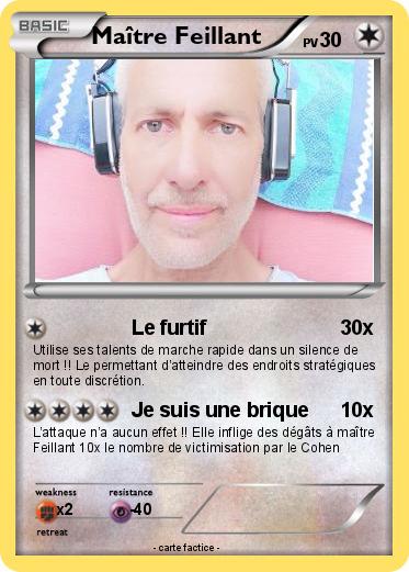 Pokemon Maître Feillant