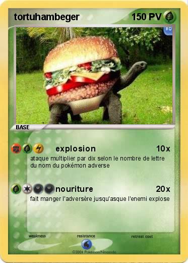 Pokemon tortuhambeger