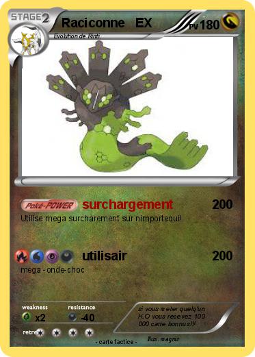 Pokemon Raciconne   EX