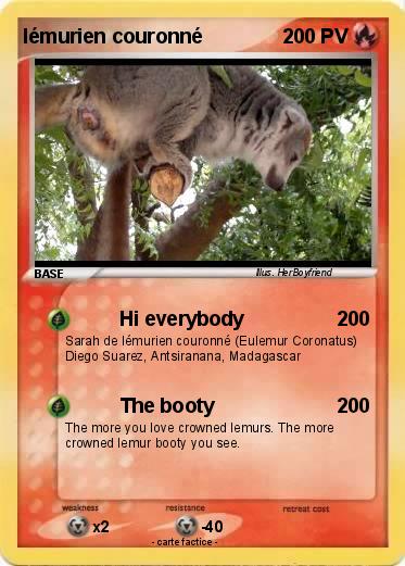 Pokemon lémurien couronné